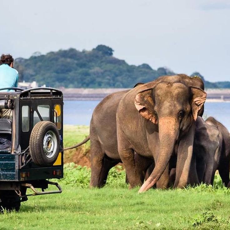 Yala National Park